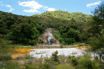 Geyser in the Volcanic Valley of Waimangu - Spectacular Geothermal Eruption