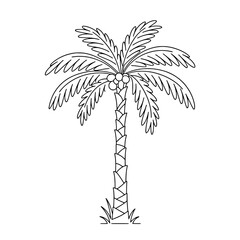 Mediterranean Olive Branch Line Art | Vector Coloring Page Design