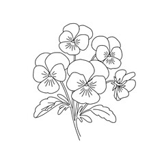 Elegant Salvia Flower Line Art | Black and White Vector Coloring Design