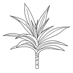 Lucky Four Leaf Clover Line Art Vector | Black and White Coloring Design
