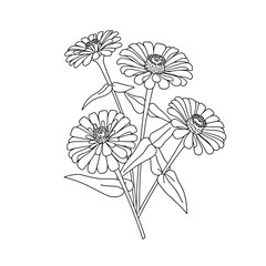 African Acacia Tree Line Art Vector | Black and White Safari Coloring Page