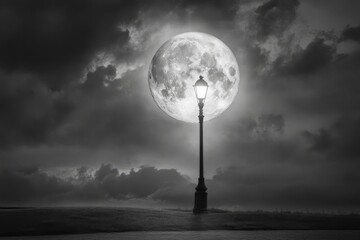 Fototapeta premium Surreal moonlight lamp post in black and white landscape