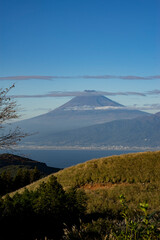 Fototapeta premium 沼津市からみた秋の富士山