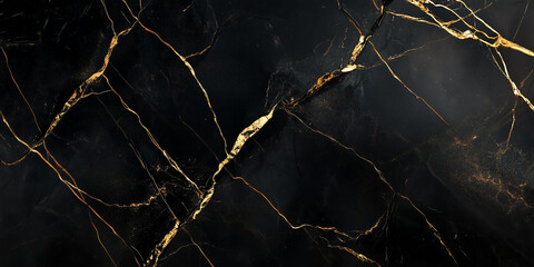 Elegant Black and Gold Marble Texture Luxury Background Image