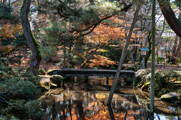 秋の金沢旅行で訪れたい紅葉真っ盛りの兼六園