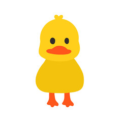 adorable baby duck duckling