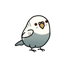 bird