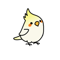 bird