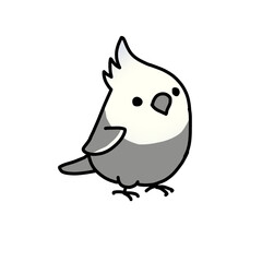 bird