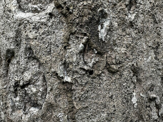 Intricate Gray Textured Surface with Rough Patterns and Natural Weathering Details