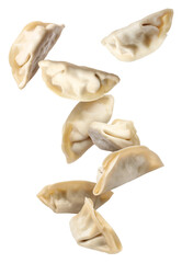 Uncooked gyoza in air on white background