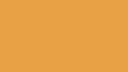 Solid, muted orange background