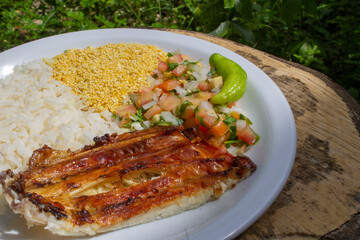 Tambaqui _ grilled fish with vegetables 