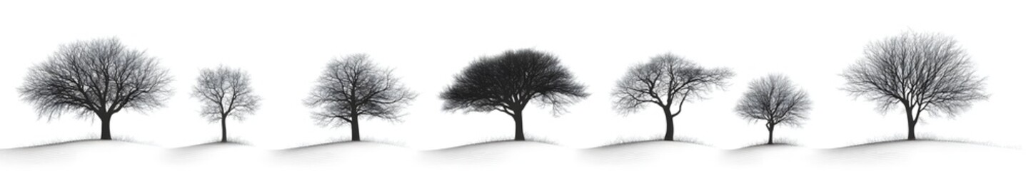 Fototapeta premium Whispers of Winter: A monochrome scene of diverse trees, their branches etched against the backdrop, evokes a sense of stillness and the quiet beauty of nature.