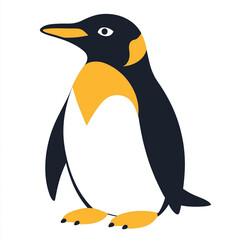 penguin on a white background