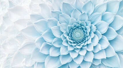 Celestial Blue Flower