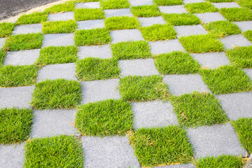 Walkway with a checkerboard pattern, alternating between gray pavement tiles and green grass