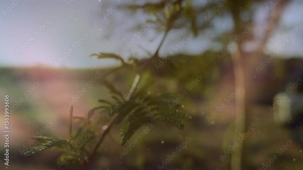 Aufkleber sunlight streaming through blurred greenery with subtle sparkling particles