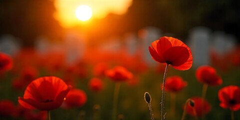 Memorial Day patriotic image background, Independence Day