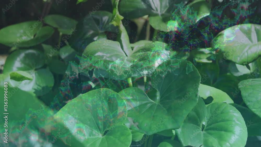 Poster digital network overlaying green leaves in nature, creating animated effect