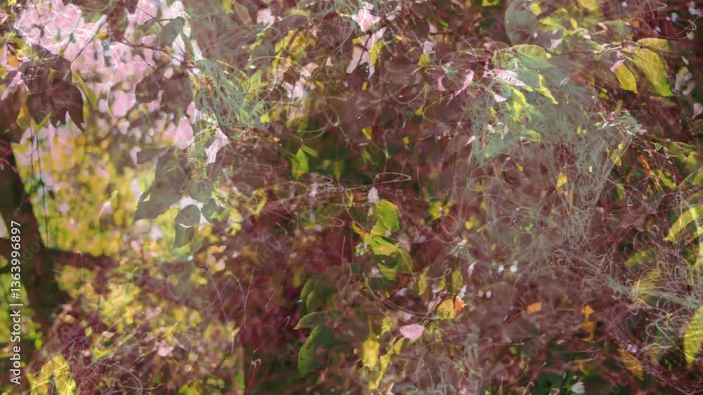 Poster sunlight filtering through green foliage with spider webs creating animation effect