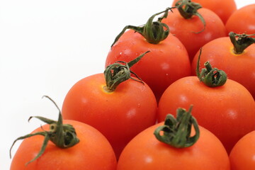 摘みたて！みずみずしいミニトマト