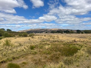 Ross, Tasmania, Australia