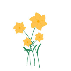 yellow daffodil flowers