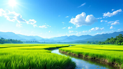 五月晴れの広大な草原と青空