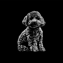 Cavapoo hand drawing vector isolated on black background.