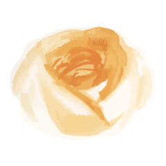 Orange peony flower transparent png watercolor sticker