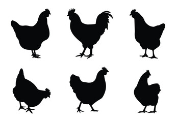 silhouette chicken hens