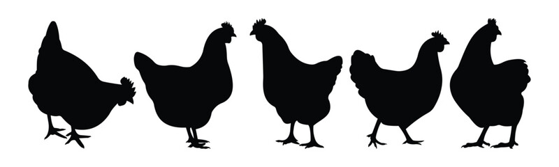 silhouette hens