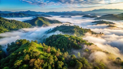 Fototapeta premium Forest Aerial Fog Nan Province, misty valleys, foggy mountains, misty valleys