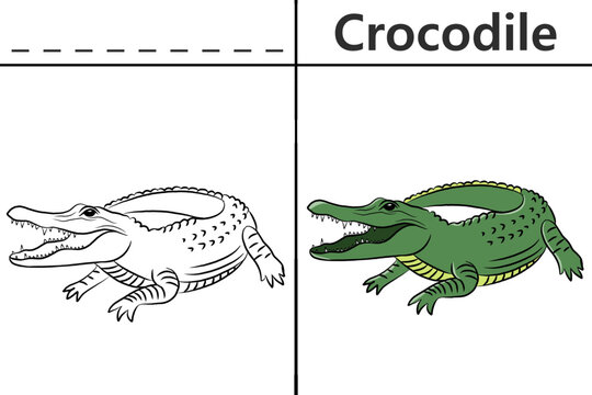Crocodile coloring pages for kids and learn to recognize letters, animal recognition card media for various games in early childhood learning