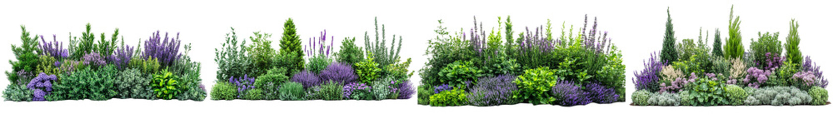 Obraz premium Lush Assortment of Lavender, Shrubs, and Greenery on a Transparent