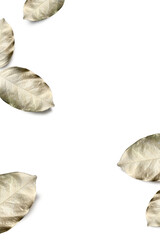 Gold spray painted leaves png background