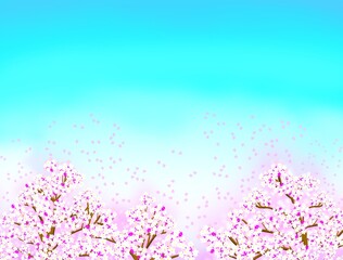 Obraz premium サクラと青空