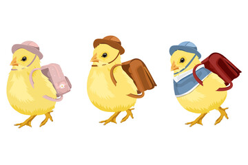 PNG baby chicks, kindergarten students illustration sticker, transparent background