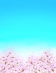 Obraz premium 春の桜と青空