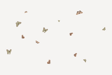 Aesthetic butterfly pattern background, collage element vector