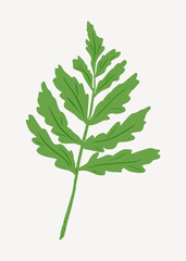 Fototapeta premium Green leaf illustration collage element vector