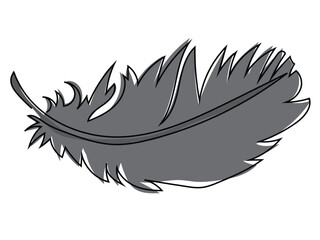Obraz premium Feathers in continuous line drawing on a white background.