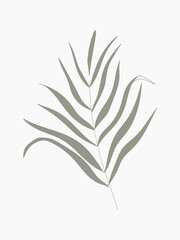 Green leaf aesthetic vector