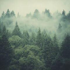 A lush forest teeming with a diverse array of tall, green trees, their leaves rustling gently in the breeze, dappled sunlight filtering through the canopy, creating a serene atmosphere.