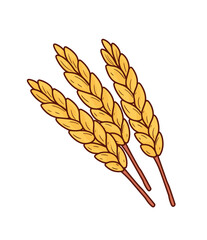 Harvest wheat grain