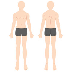 男性の人体図　全身　前面背面