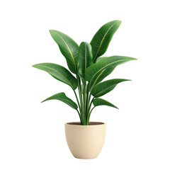 Lush Green Plant in Beige Pot Vibrant Background,