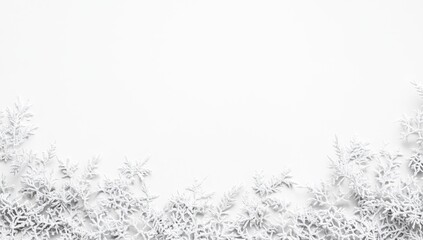 White Winter Border
