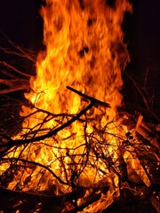 Fire burning with intense flames and the wood popping with the heat.